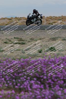 media/Jan-14-2023-SoCal Trackdays (Sat) [[497694156f]]/Turn 14 Exit Bloomig (145pm)/